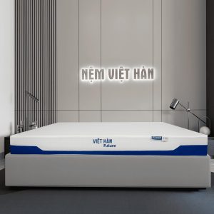 Nệm Cao Su Thiên Nhiên Đa Tầng Việt Hàn Future