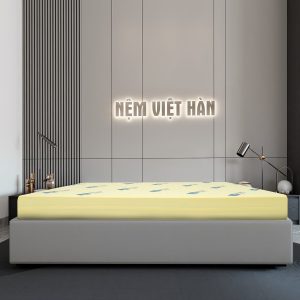 Nệm Foam Việt Hàn CLASSIC
